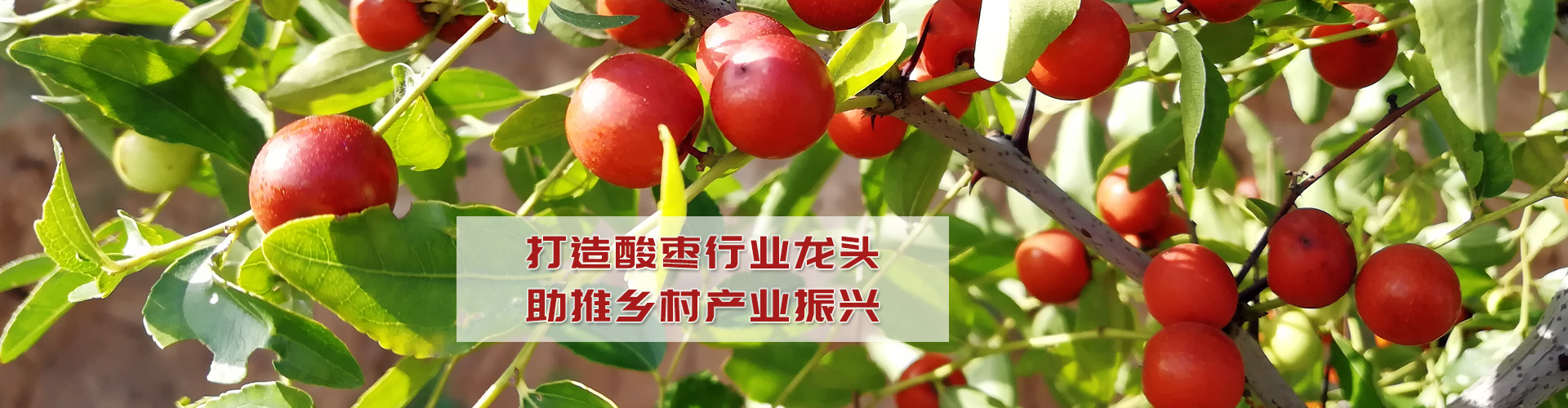 濟寧正邦表面處理劑有限公司